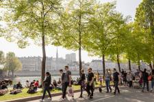 David DINH - DINH DAVID