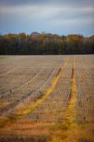 Christophe MIRABEL - Instantby